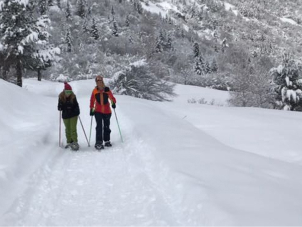 Guided snowshoeing tour